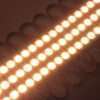 large12V-1.5W-Bright-Warm-white-color-waterproof-3-LED-module-9.jpg LED მოდული თეთრი თბილი 1.2W 12V || LED module white warm 1.2W 12V